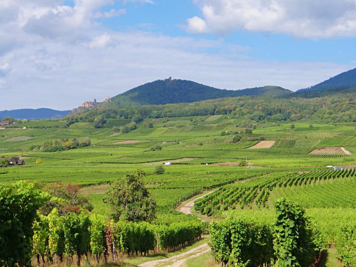 베아카임 Au Coeur Des Vignes 아파트 외부 사진