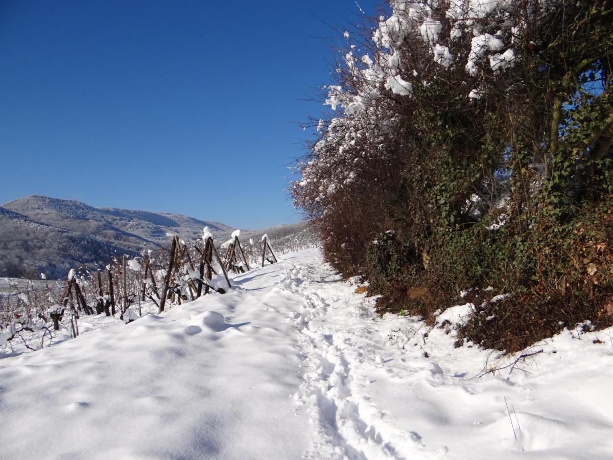 베아카임 Au Coeur Des Vignes 아파트 외부 사진