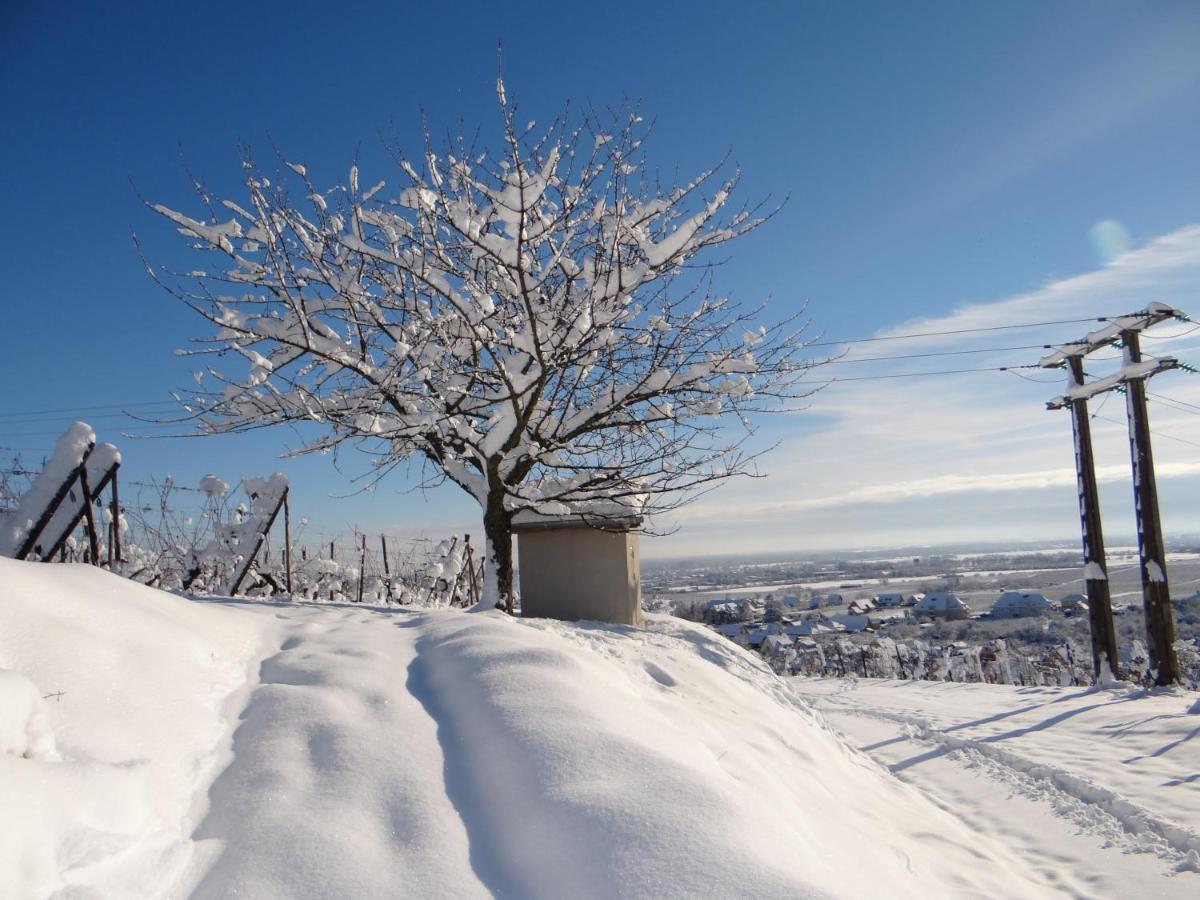 베아카임 Au Coeur Des Vignes 아파트 외부 사진