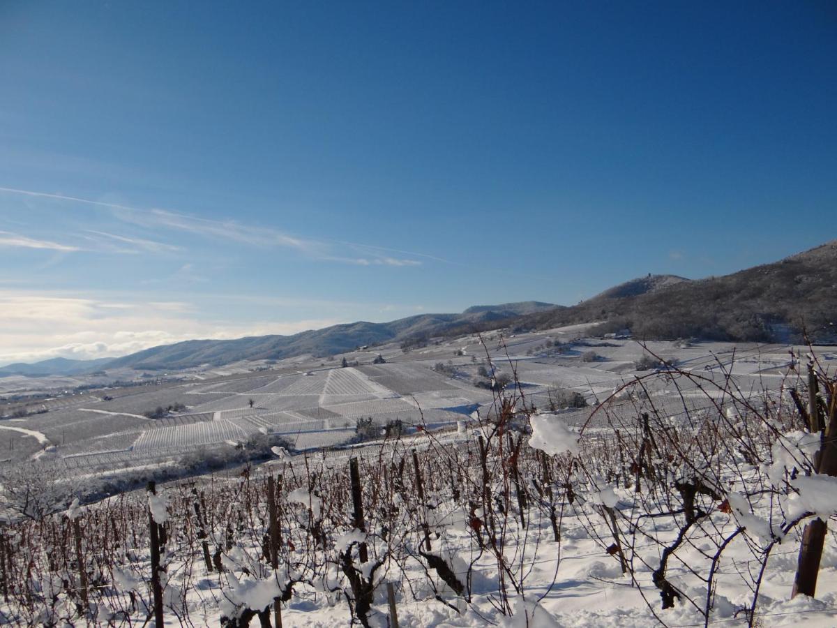베아카임 Au Coeur Des Vignes 아파트 외부 사진