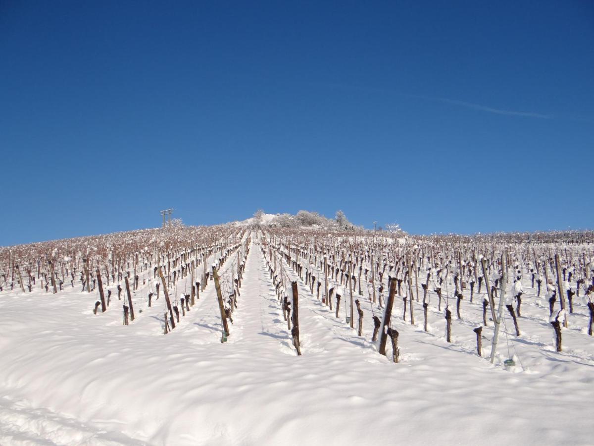 베아카임 Au Coeur Des Vignes 아파트 외부 사진
