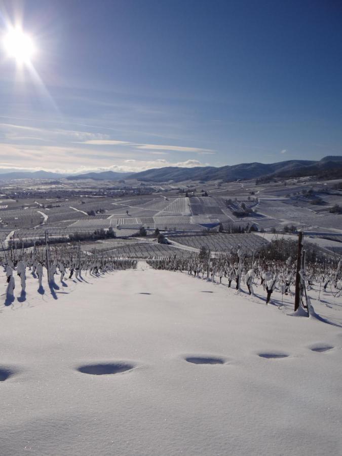 베아카임 Au Coeur Des Vignes 아파트 외부 사진