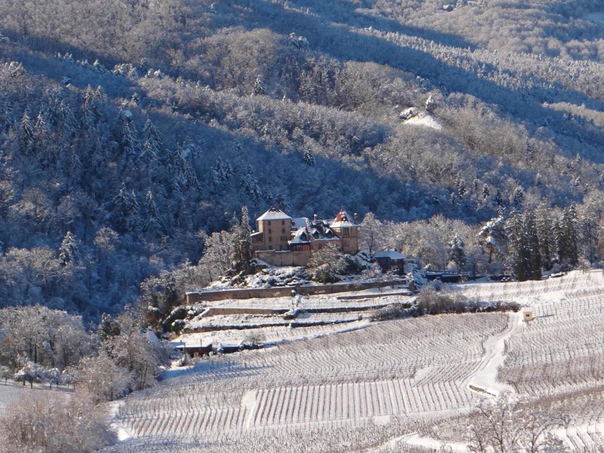 베아카임 Au Coeur Des Vignes 아파트 외부 사진