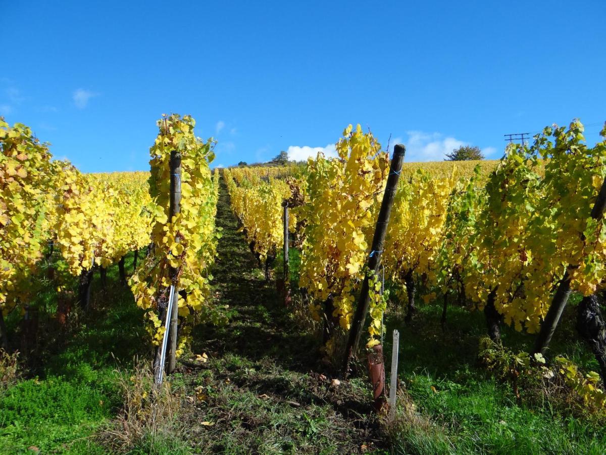 베아카임 Au Coeur Des Vignes 아파트 외부 사진
