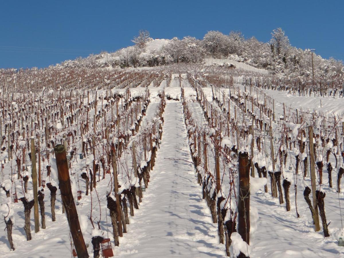 베아카임 Au Coeur Des Vignes 아파트 외부 사진