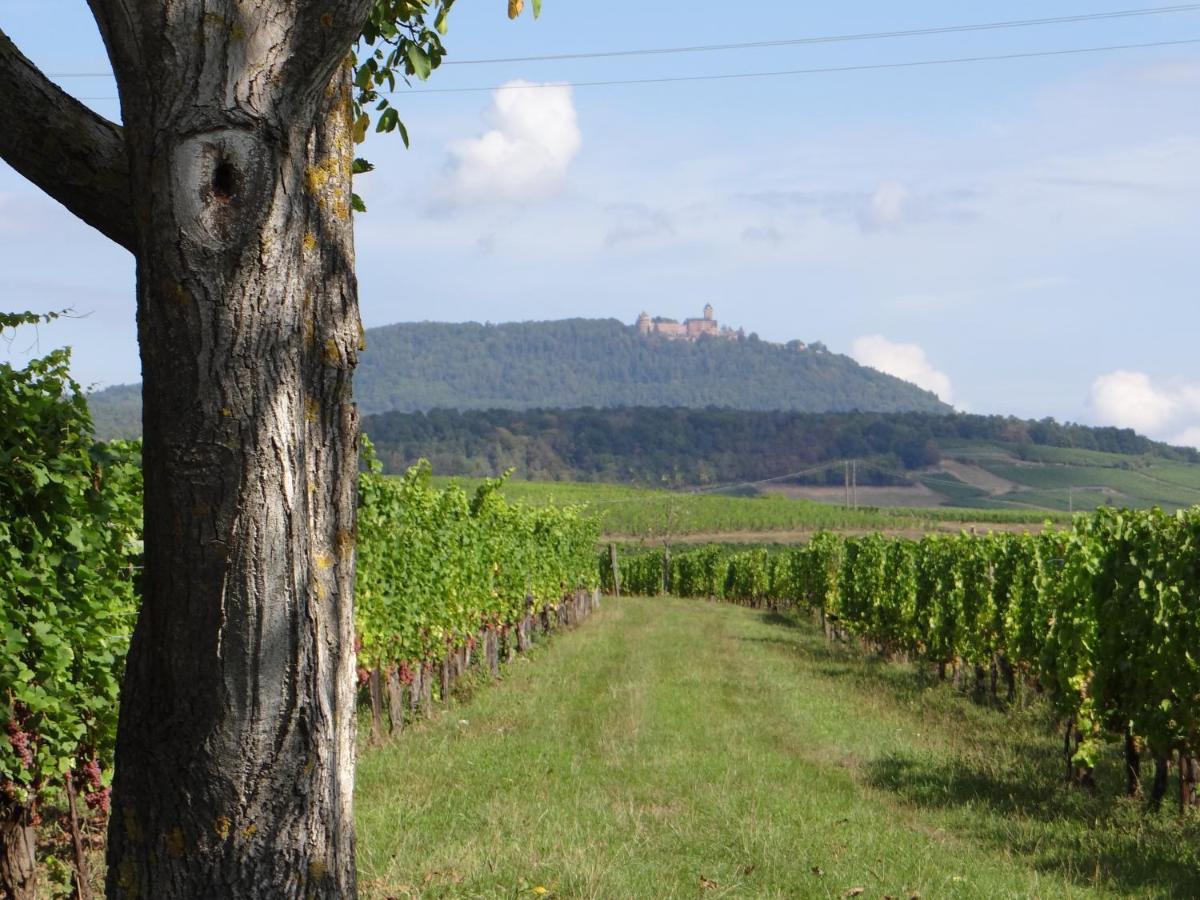 베아카임 Au Coeur Des Vignes 아파트 외부 사진